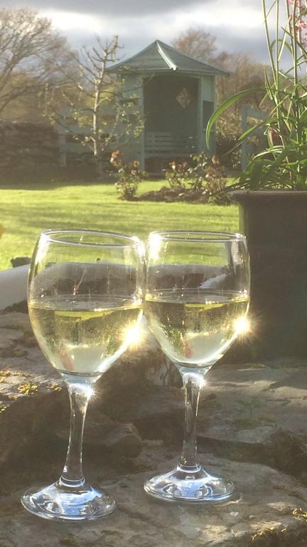 Garth Engan Private Self Contained B&B With Garden Area Llanbedr  Eksteriør billede